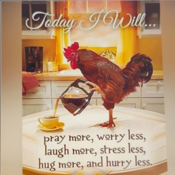 DDX DRI*DUCK JACKET SIZE L UniSex - Picture 7 of 16